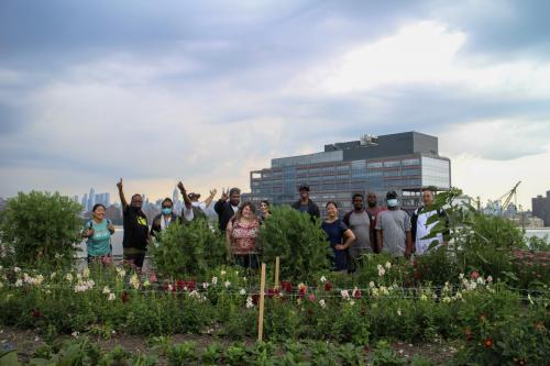 Field Trip to Brooklyn Grange 